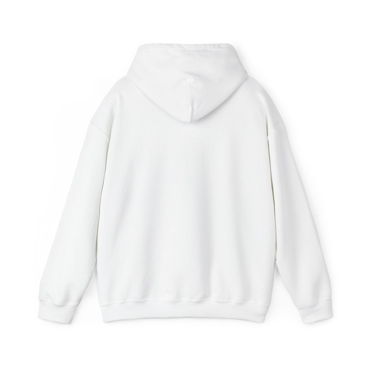 Men's Basic Spxral Hoodie